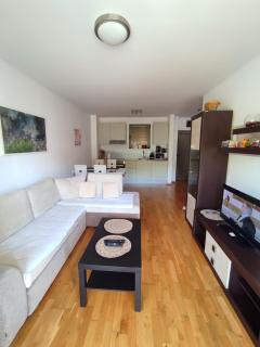 Blue Horizon Lux Apartment with Pool - Sveti Stefan - 7