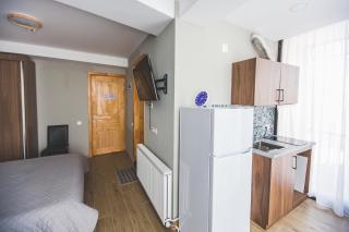 Perfect studio near Didveli ski area - Bakuriani - 1
