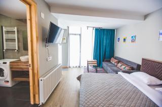 Perfect studio near Didveli ski area - 5