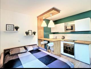 Centre Saint-Gervais Studio Vert moderne 2 pers proche télécabine - 1