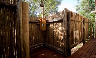 Cape Vulture Lodge - 1