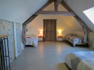 Loft centre ville de Montrichard Chateaux Zoo - Montrichard - 1