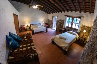 Pinos de la Quebrada - 6