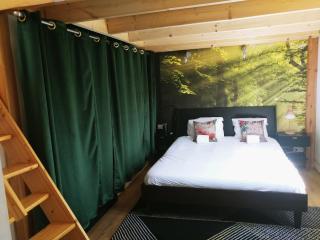 MAISON JARDIN ET PARKING PRIVé dans GRENOBLE - Grenoble - 1