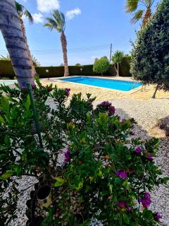Villa Anastasia - Stunning Sea View, Cheerful 2 Bedroom Villa - Peyia - 9