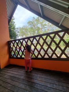 La Cabaña de Bella - Volcán - 9