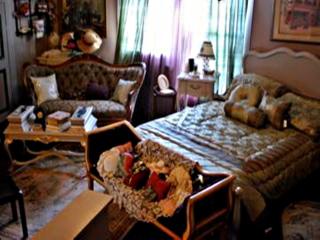 Ducote-Williams House - Abbeville - 1