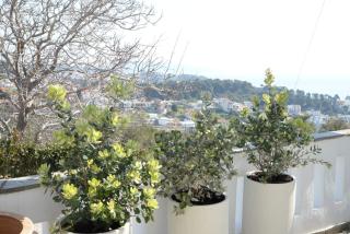 Despoina Apartment - 1