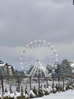 Zlatiborski Konaci-Apartman Maletic - Zlatibor - 1