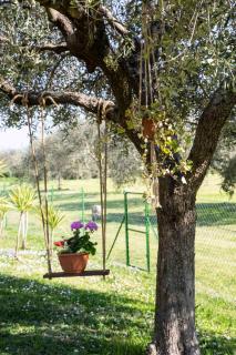 Casa Vacanze Oleandri - Ameglia - 6