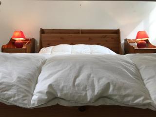 Place de la mairie T2 type loft 70m2 terrasse 35m2 - Cauterets - 4