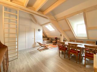 Place de la mairie T2 type loft 70m2 terrasse 35m2 - Cauterets - 2