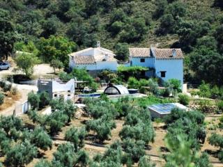 Country House in Andalusia with Pool - Serval - 2