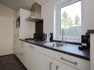 Modern house with roof in Rhenen - Rhenen - 2