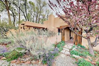Theodora Charmer - Taos - 9