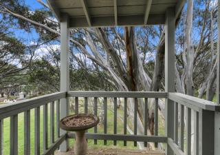 Snowgums 10 - Dinner Plain - 1