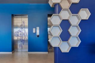 One Chihuahua Norte - 3