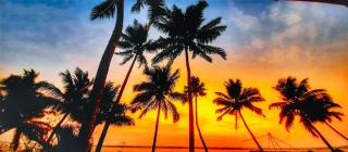 Kallanchery Retreat - Ernakulam - 6