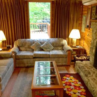 Snowline Cabin #35 - A pet-friendly country cabin. Now has air conditioning! - Glacier - 5