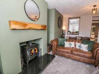 TurTwig Cottage - Blaenau-Ffestiniog - 7