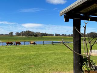 Discovery Parks Margaret River - Cowaramup - 2
