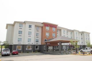 Best Western Estevan Inn & Suites - 5