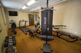 Best Western Estevan Inn & Suites - Estevan - 4