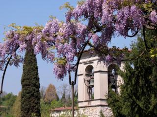 B&B Entro Le Mura - Bergamo - 8