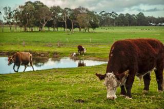 Discovery Parks Margaret River - 2
