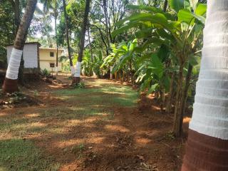 A Latent Farm stay - Gimvi - 1