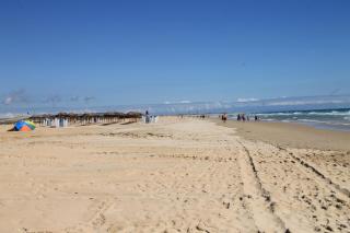 Apartamento Centro Tonelero II - Conil de la Frontera - 4