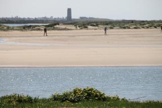 Apartamento con aire acondicionado - Conil de la Frontera - 7