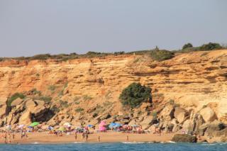 Apartamento en complejo con piscina - Conil de la Frontera - 8