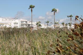 Apartamento Santa Rita - Conil de la Frontera - 6