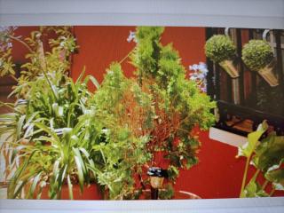 Hostal Cervantes - 7