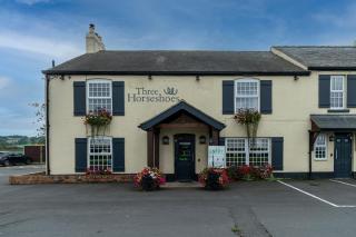 Three Horseshoes Inn - Durham - 0