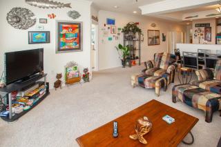 The Sandbridge Dunes - Katz Meow 204 - 9