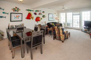 The Sandbridge Dunes - Katz Meow 204 - 7