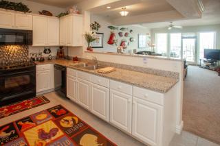 The Sandbridge Dunes - Katz Meow 204 - 1