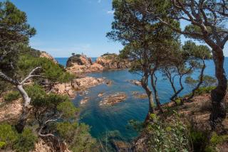 Casa Cala Nostra - Tamariu - Palafrugell - 8