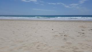 El Cariño de la Playa - Conil de la Frontera - 9