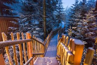 Domaine de l'Authentique Cabanes dans les arbres - 1