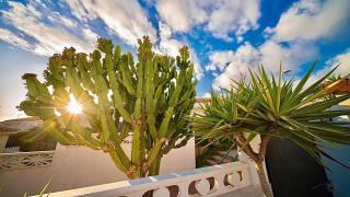 Lovely 4-Bed Villa with ocean views in Sueno Azul - Callao Salvaje - 5