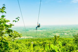 Wintergreen - Blue Mountains - 4