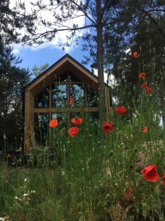 DomGalante - Nowoczesna stodoła na Pojezierzu Brodnickim - Grzybno - 0