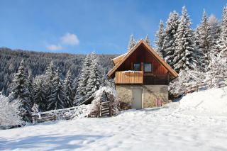 Glücksmüh- Ferienhaus in Alleinlage plus Bauernhoferlebnis - Einach - 9