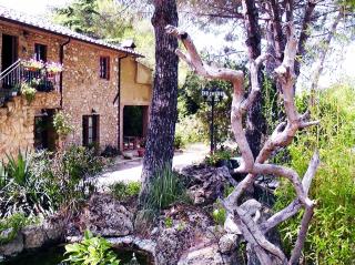 Agriturismo Il Poderino - Bibbona - 8