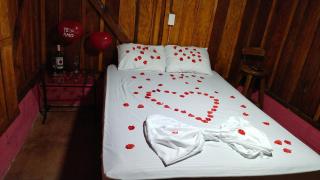 Finca Cafetera el Coral - 4