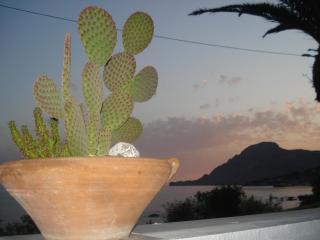 Skinos Apartments - Plakias - 4
