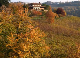 Villa San Domenico a Barbaresco - 5